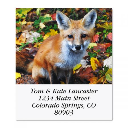 Woodland Animals Select Return Address Labels (6 Designs)