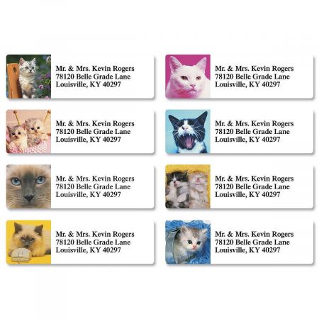 Personalized Cat Return Address Labels - Set Of 240 Self-Adhesive Labels With 4 Cute Designs