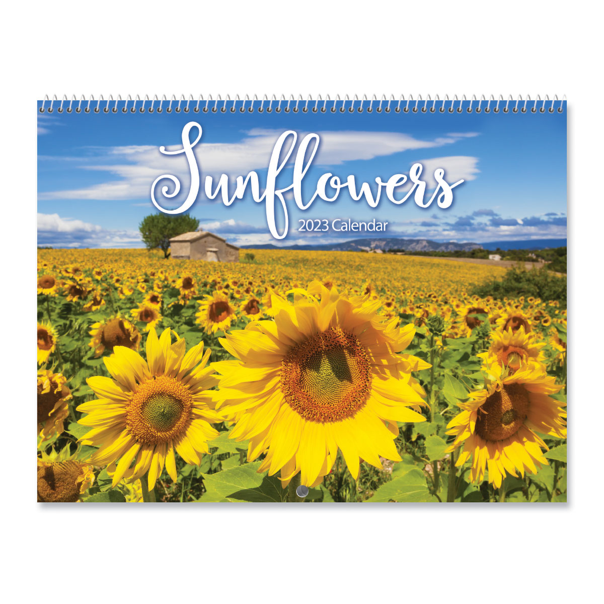 Sunflowers 2023 Wall Calendar | Colorful Images