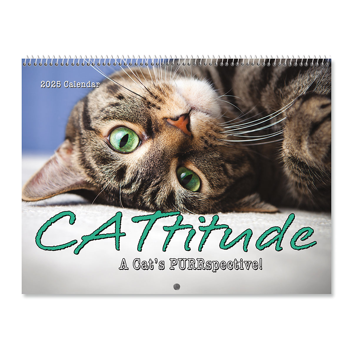 2025 CATtitude Wall Calendar Colorful Images