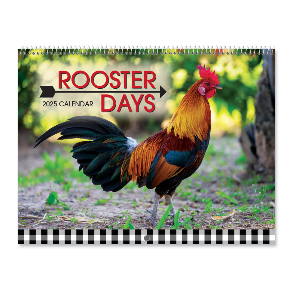 2025 Rooster Days Wall Calendar Colorful Images