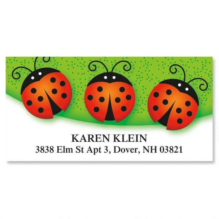 ladybug deluxe return address labels colorful images