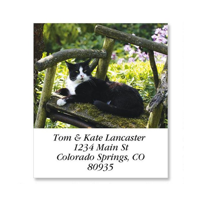 black white cat in chair select return address labels
