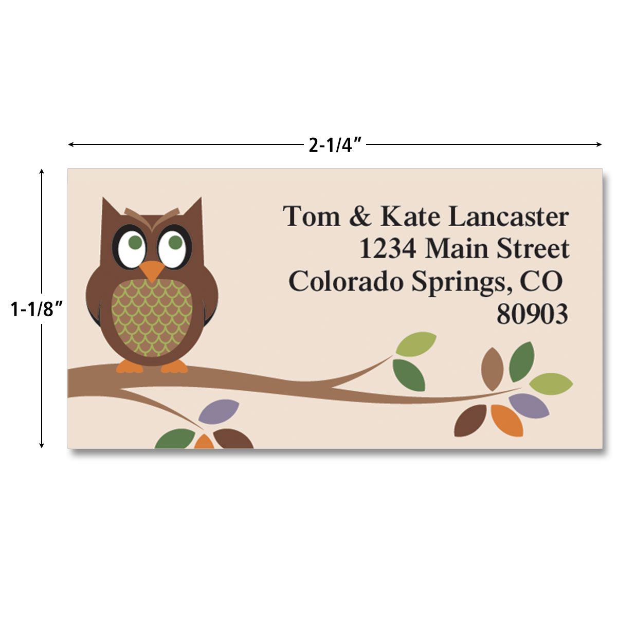 Owl Border Return Address Labels Colorful Images