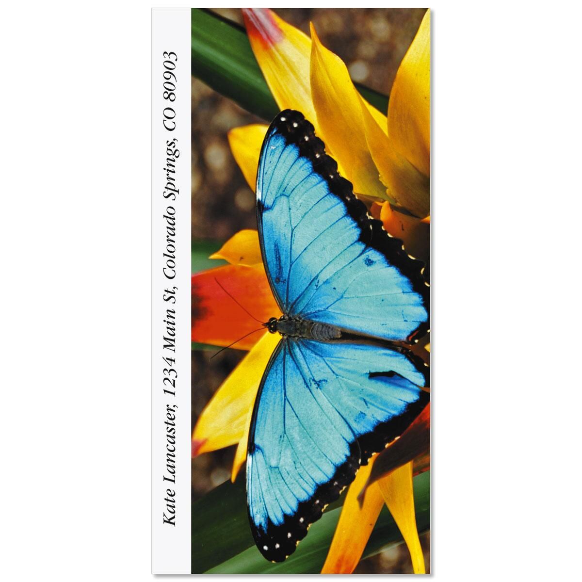 morpho blue butterfly oversized return address labels colorful images