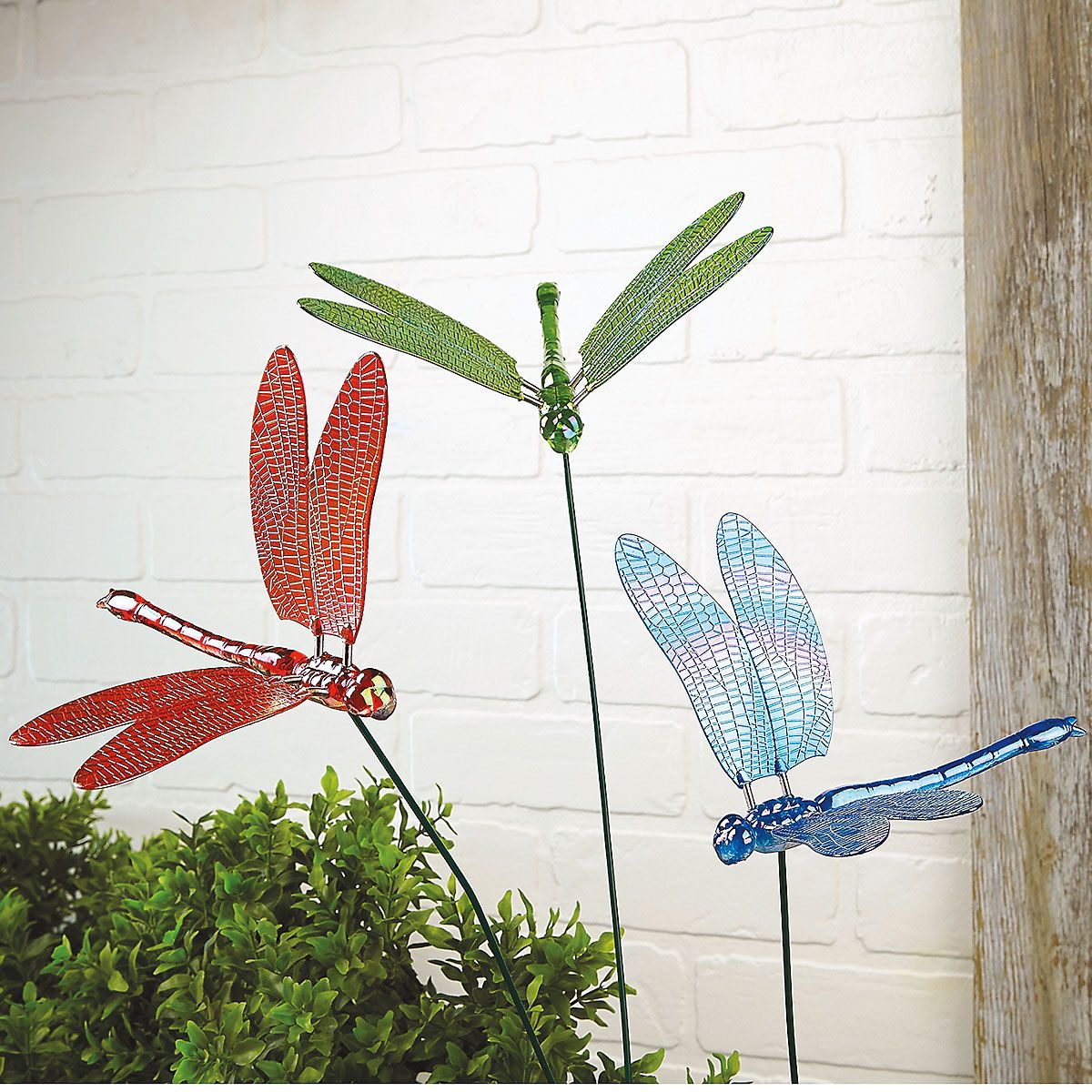Dragonfly Garden Stakes Set Of 3 Colorful Images