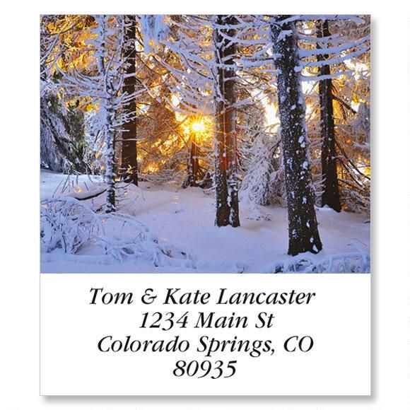 Snow Covered Conifer Select Return Address Labels