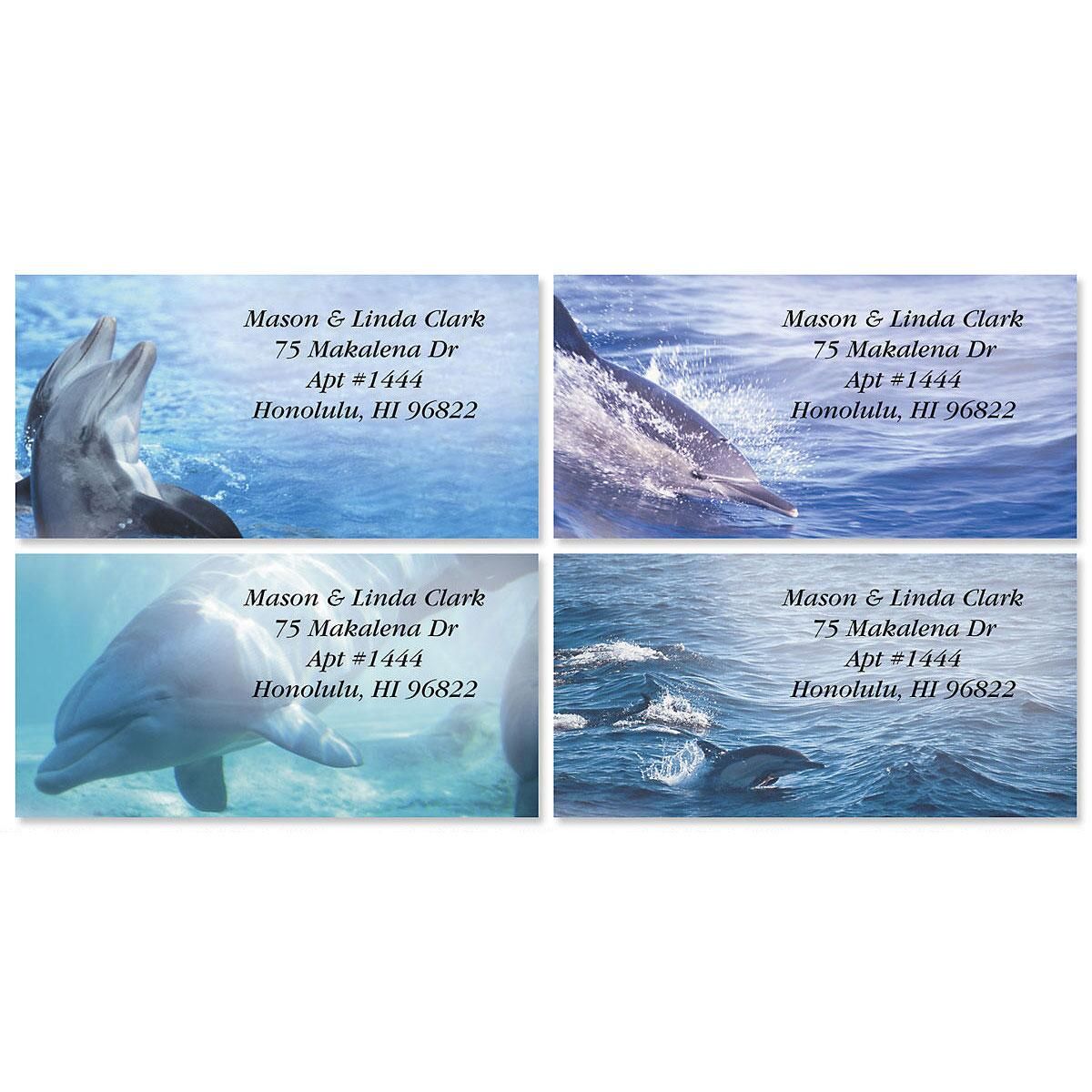 Dolphins at Play Border Return Address Labels Colorful Images