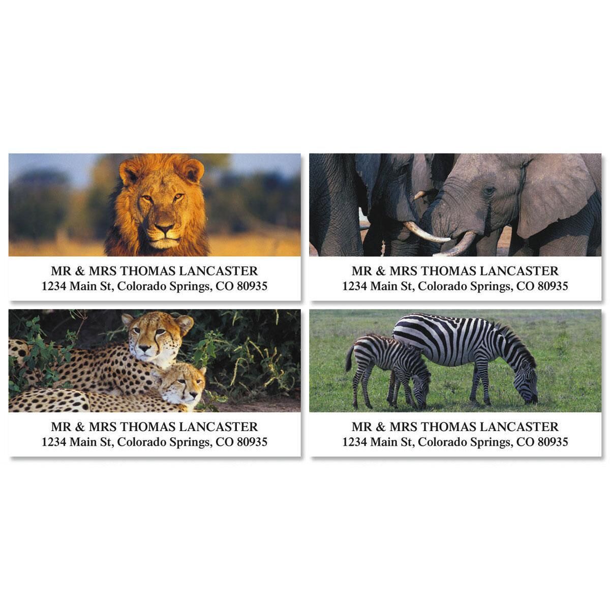 Wildlife of Africa Deluxe Return Address Labels Colorful Images
