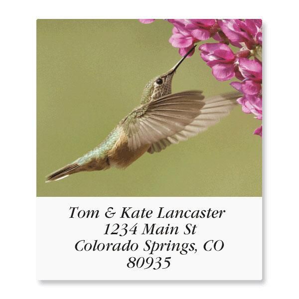 Birds of North America Select Return Address Labels (24 Designs)
