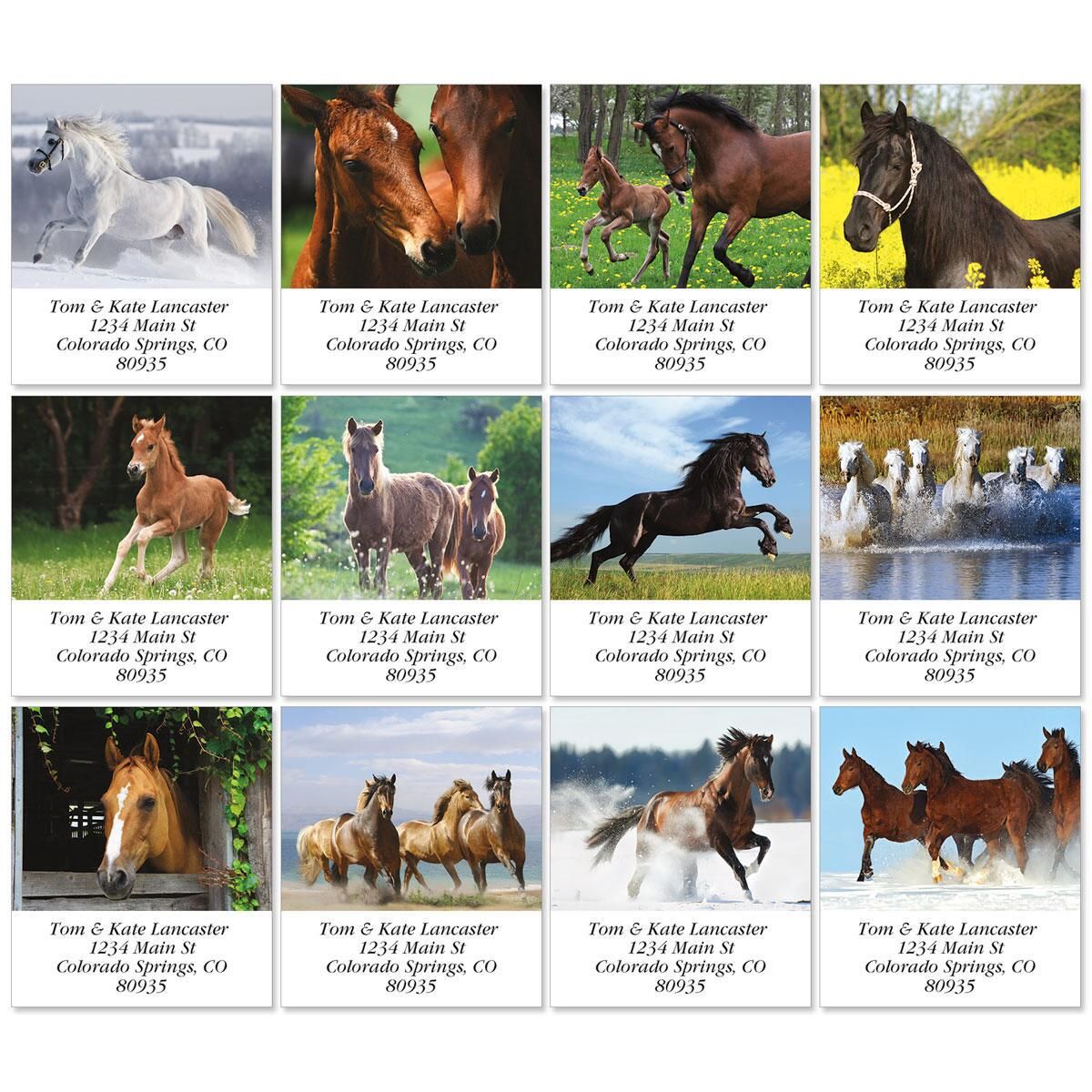 For Horse Lovers Select Return Address Labels Colorful Images