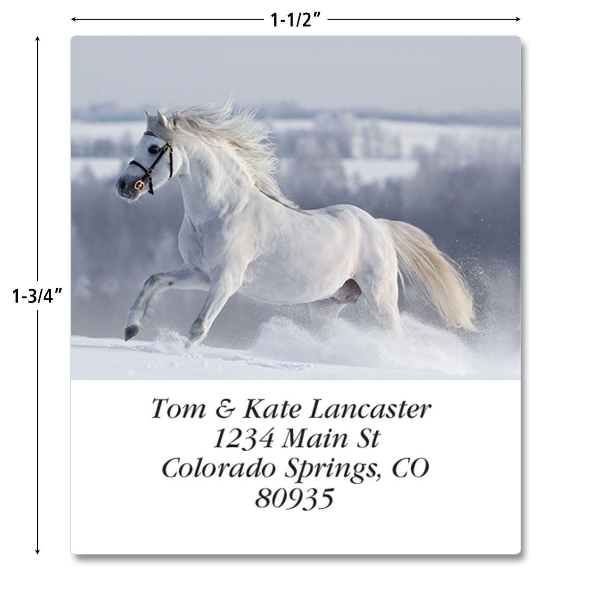 For Horse Lovers Select Return Address Labels Colorful Images