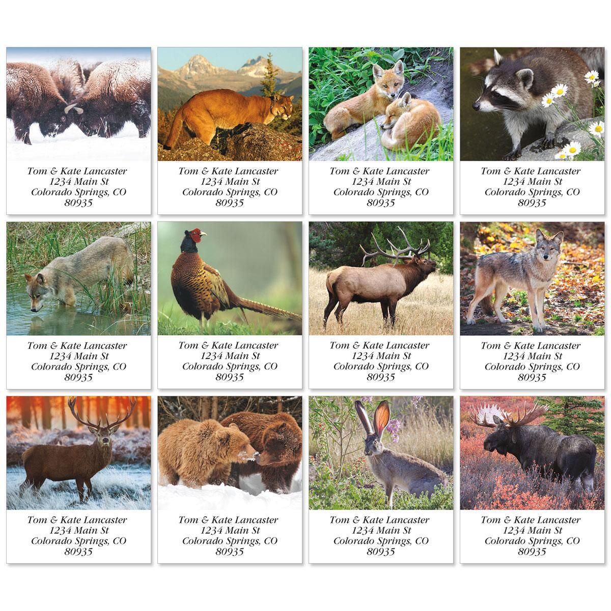 North American Wildlife Select Return Address Labels Colorful Images