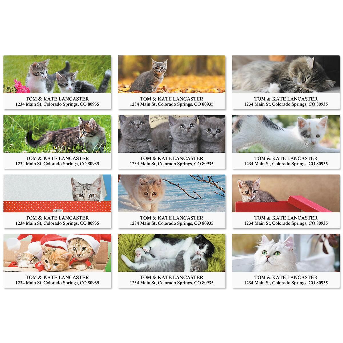 Love of Cats Deluxe Return Address Labels Colorful Images