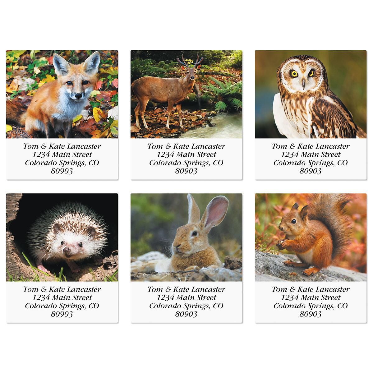 Woodland Animals Select Return Address Labels Colorful Images