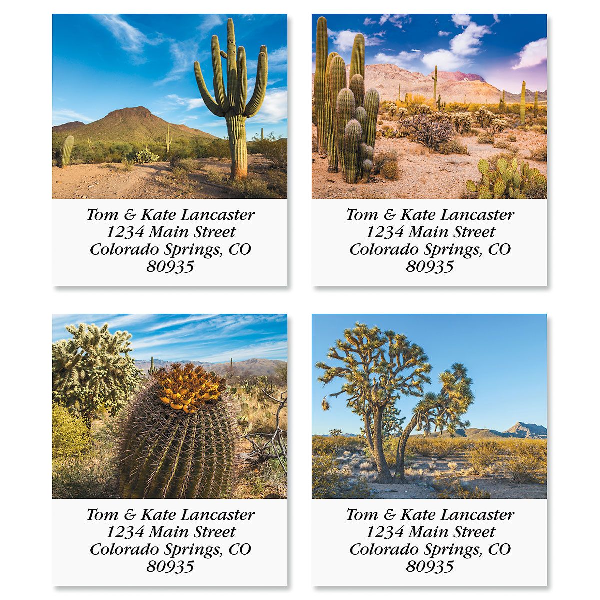 In The Desert Select Return Address Labels (4 Designs) Colorful Images