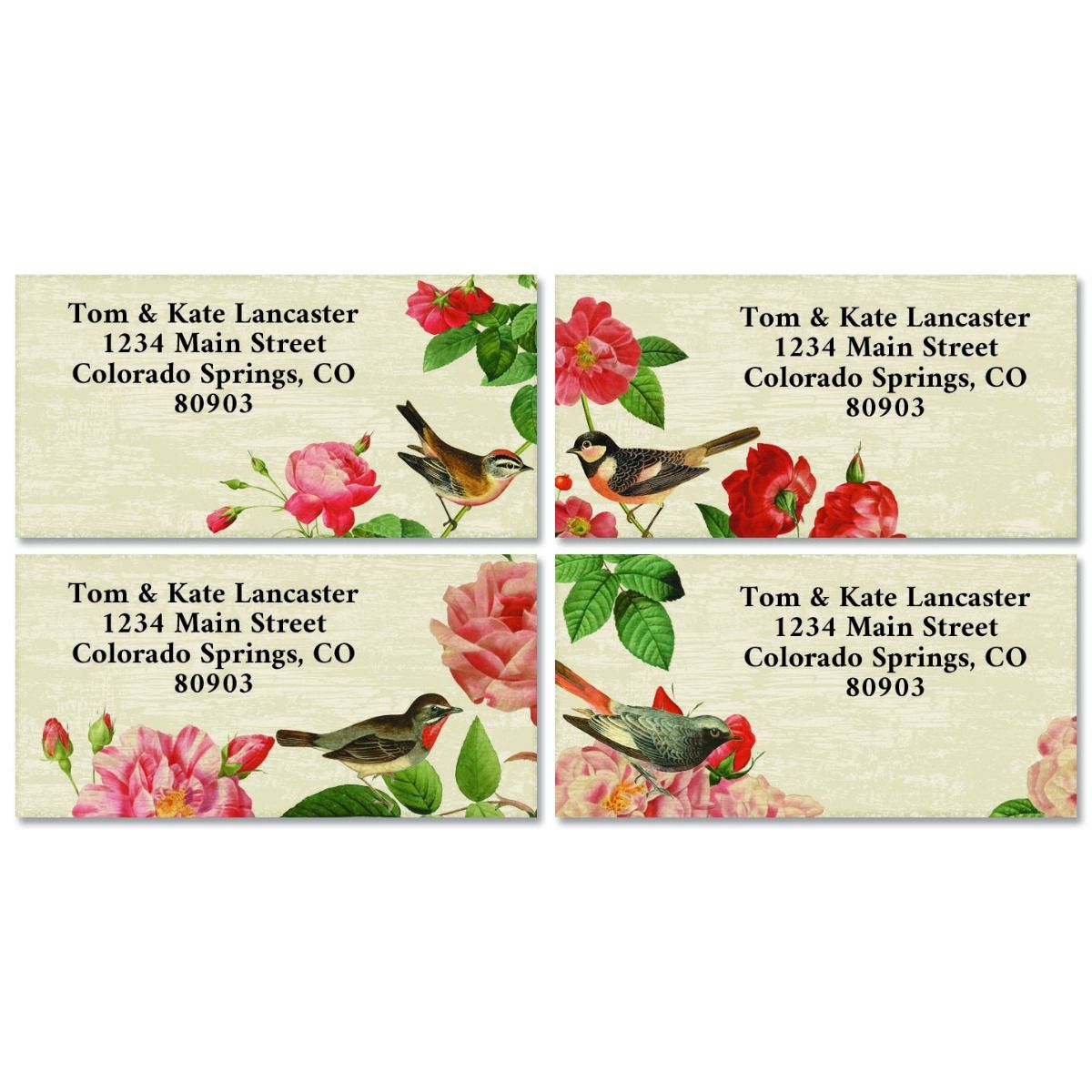 Bramble Bird Border Return Address Labels | Colorful Images