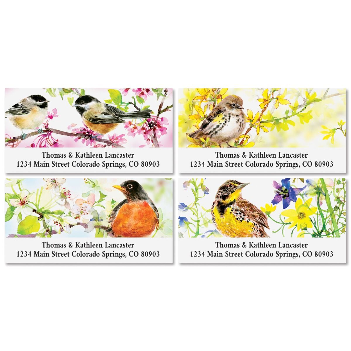 Summer Birds Deluxe Return Address Labels (4 Designs) Colorful Images