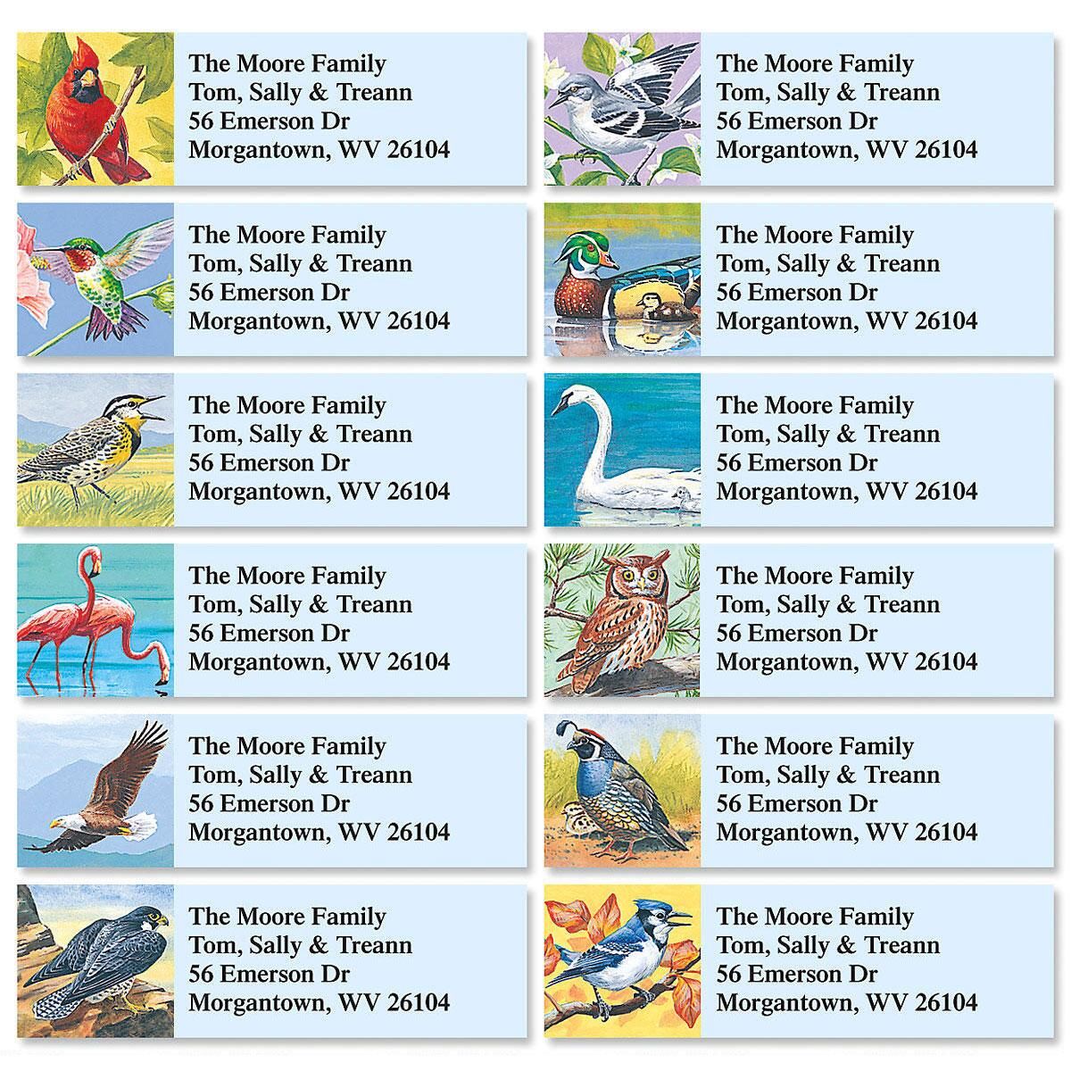 Birds of America Classic Return Address Labels 12 Designs