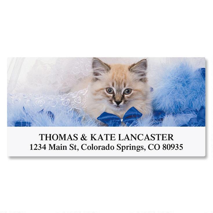 Everyday Cats Deluxe Return Address Labels (12 Designs)