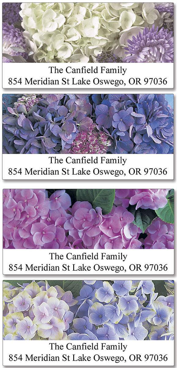 Hydrangea Label Hydrangea Deluxe Return Address Labels | Colorful Images