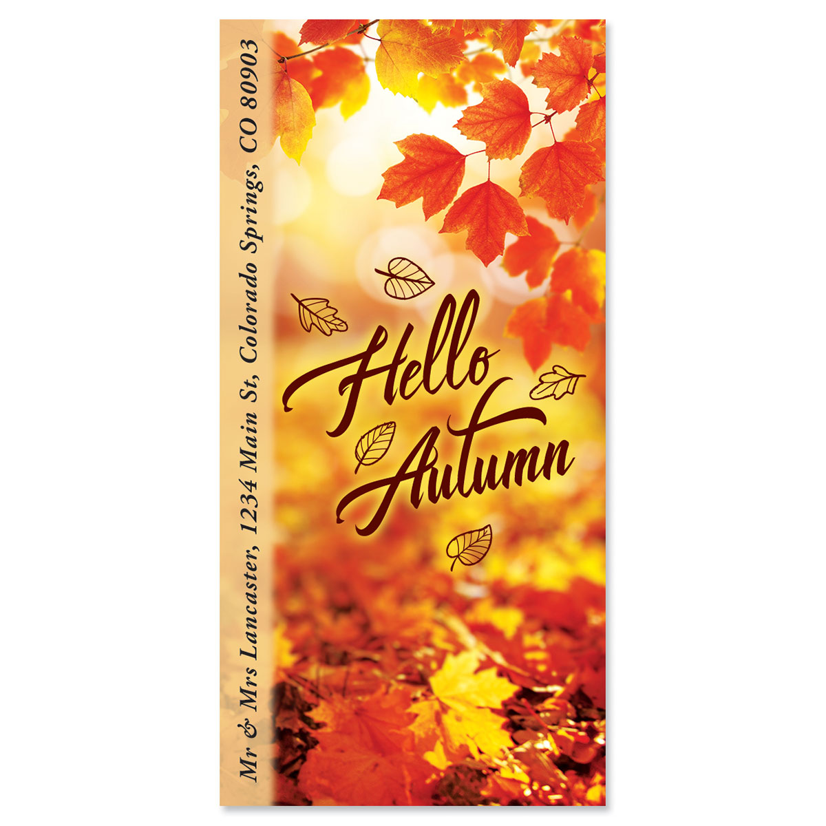 hello-autumn-oversized-return-address-labels-colorful-images