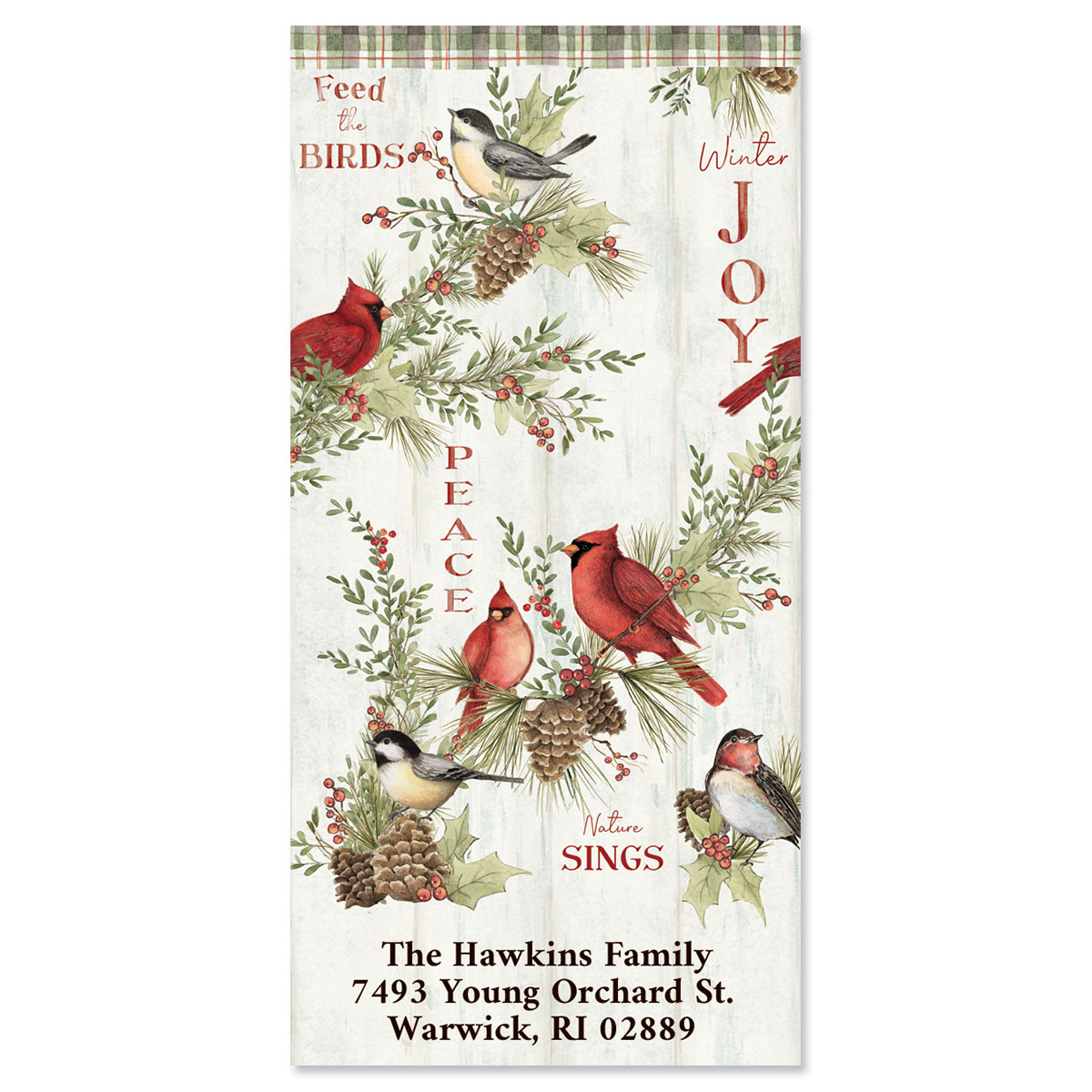 winter-birds-oversized-return-address-labels-colorful-images