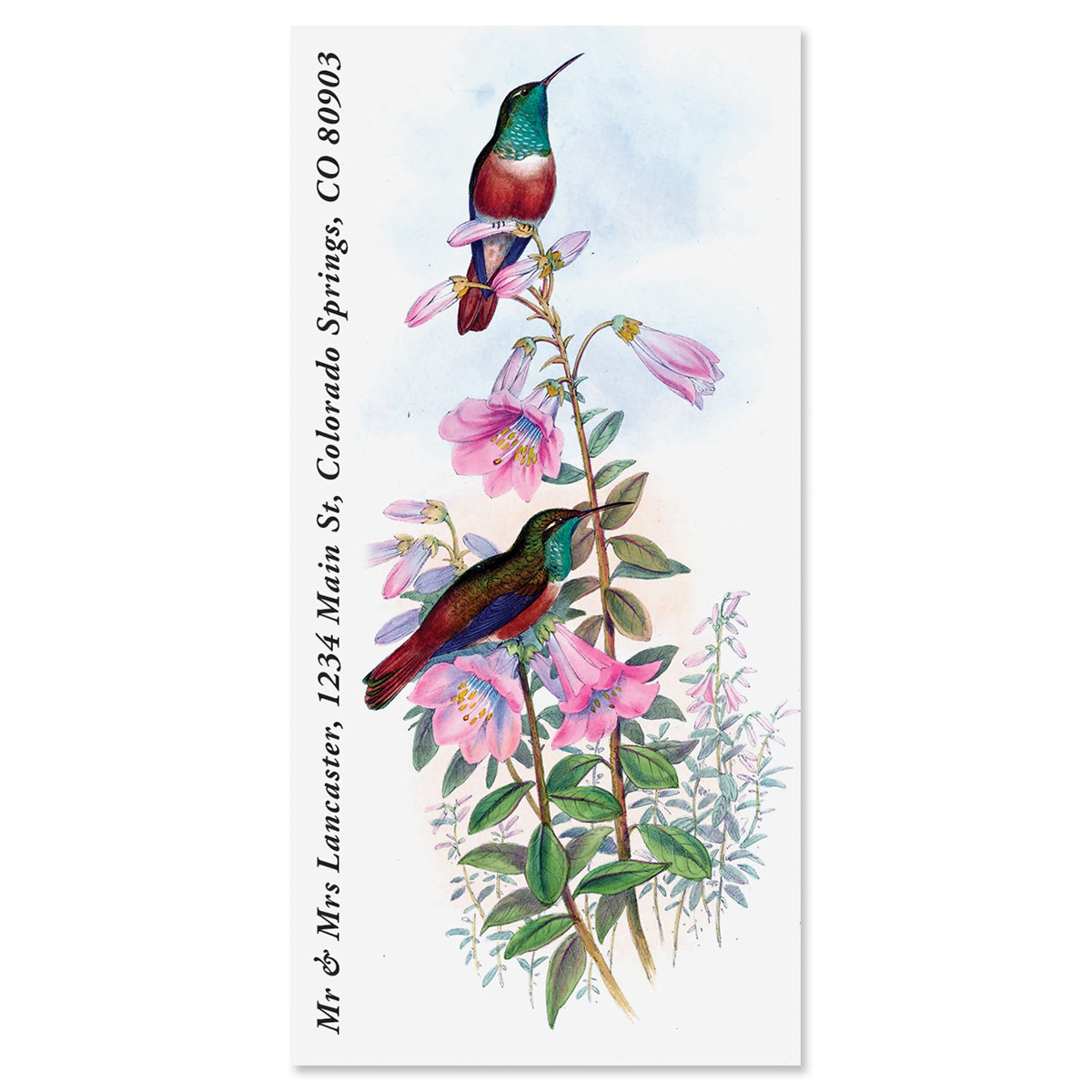 Blue-Throated Hummingbird Oversized Return Address Labels | Colorful Images