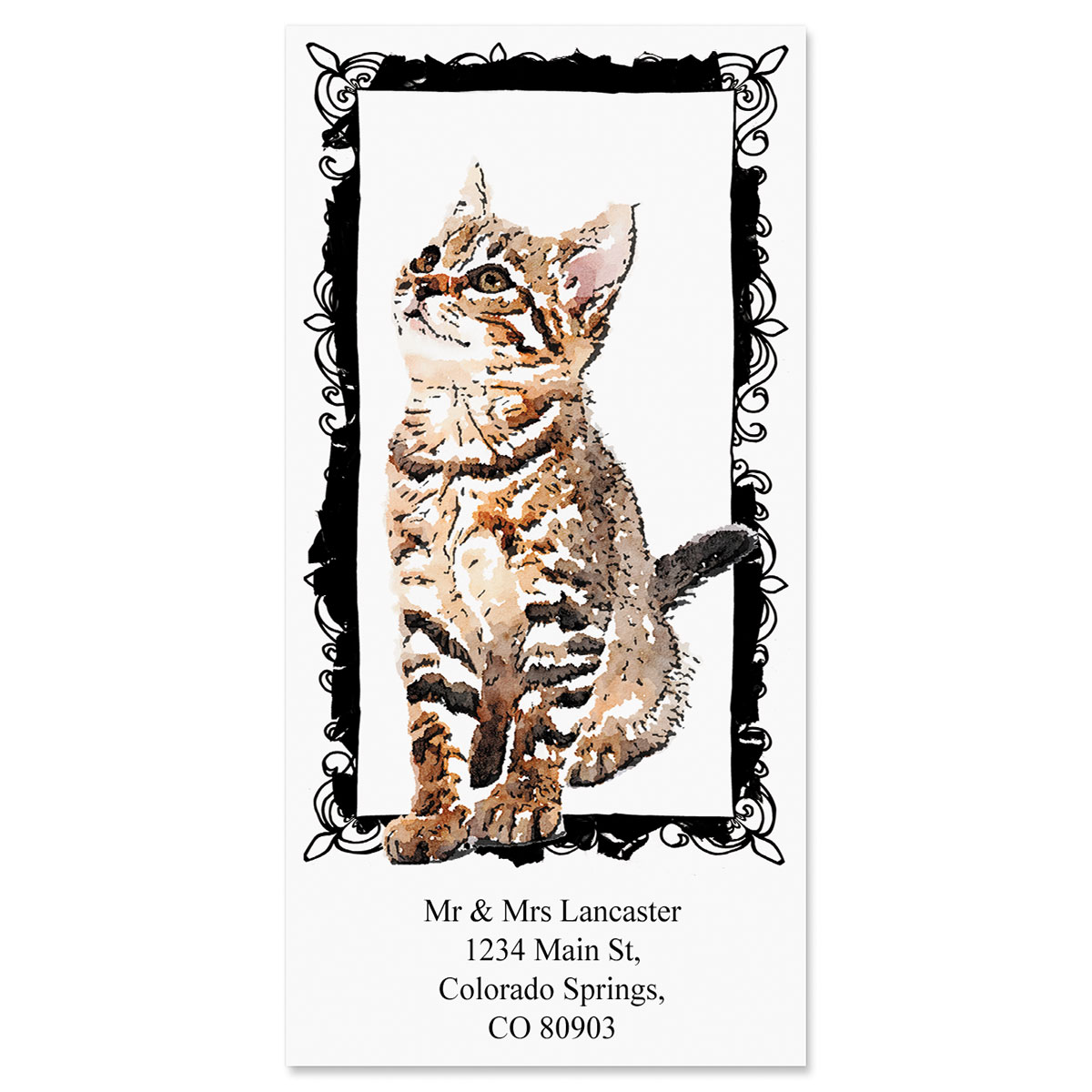 feline-charm-oversized-return-address-labels-colorful-images