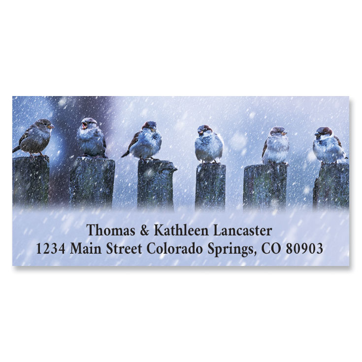 Chick Address Labels Chickadee Party Deluxe Return Address Labels | Colorful Images