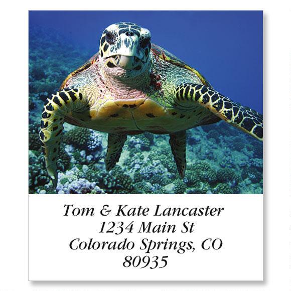 Sea Turtle Select Return Address Labels | Colorful Images