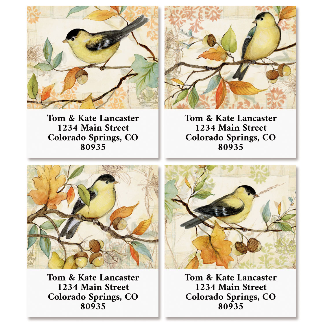 Goldfinch Select Return Address Labels (4 Designs) | Colorful Images