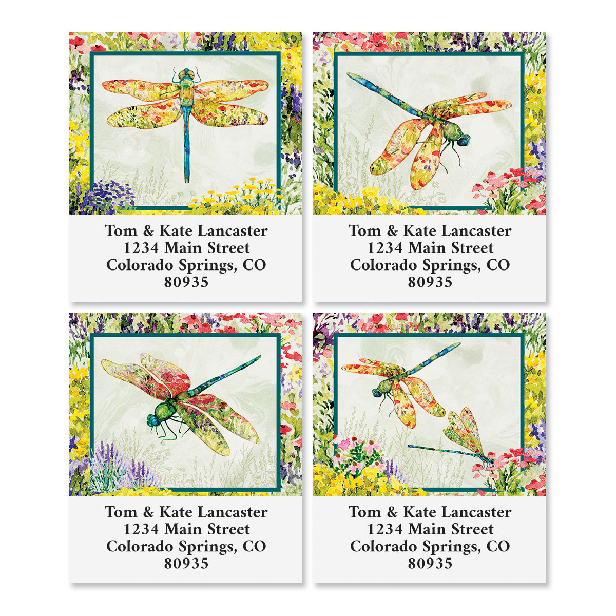 Garden Dragonflies Select Return Address Labels (4 Designs) Colorful