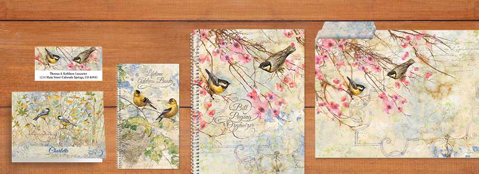 Shop Organizer Collections at Colorful Images