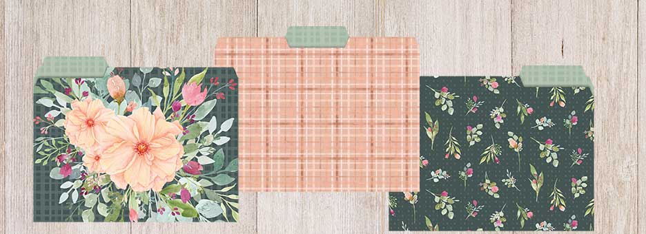 Shop File Folders at Colorful Images