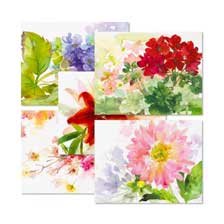 Shop Note Card Sets at Colorful Images