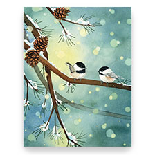 Shop Christmas Note Cards at Colorful Images