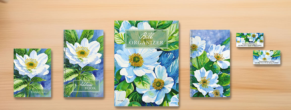 Shop Organizer Collections at Colorful Images