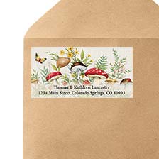Shop Deluxe Labels at Colorful Images