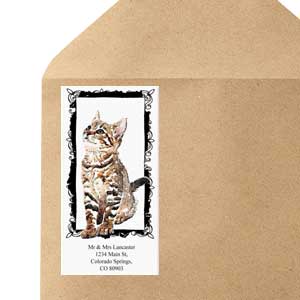 Shop Oversized Labels at Colorful Images