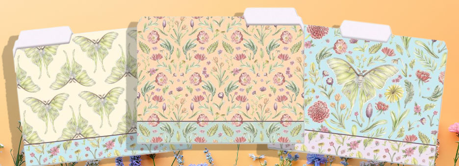 Shop File Folders at Colorful Images