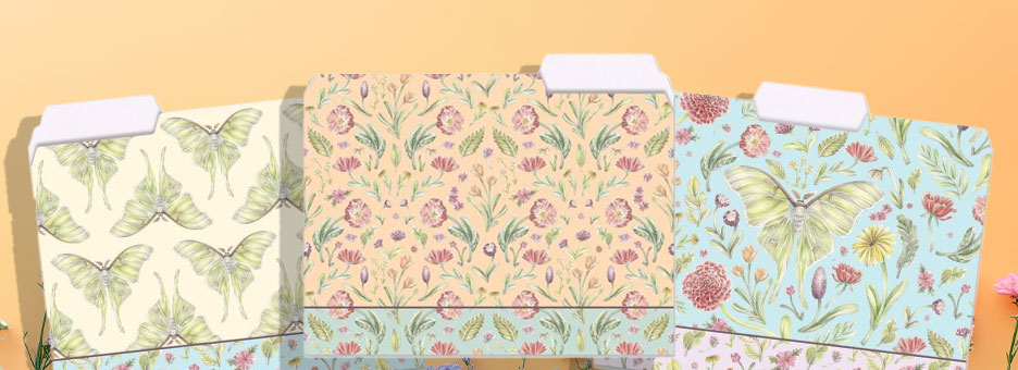 Shop File Folders at Colorful Images