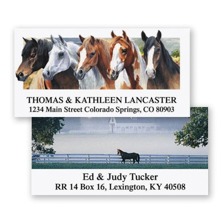 Shop Horses Labels at Colorful Images