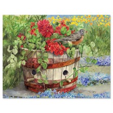 Shop Note Card Sets at Colorful Images