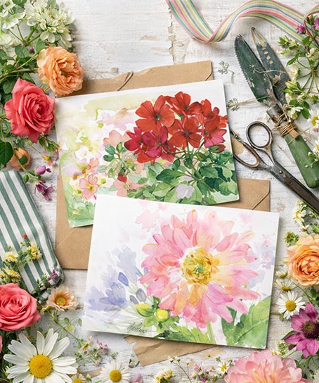 Shop bogo deals at Colorful Images