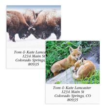 Shop Animals & Wildlife Labels at Colorful Images