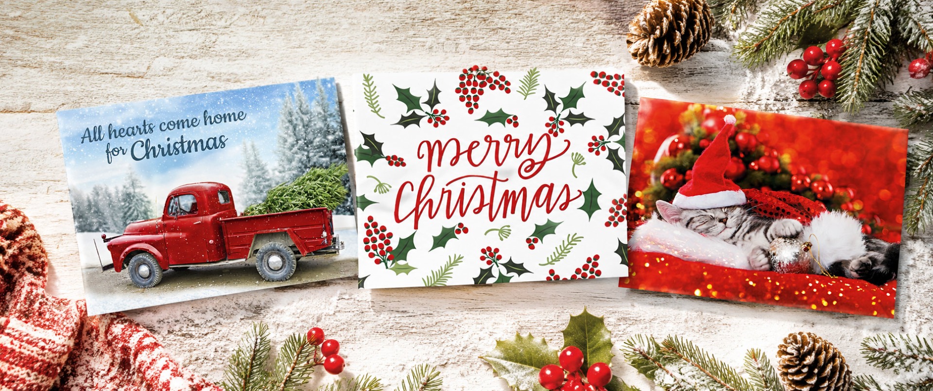 Shop Christmas Cards at Colorful Images