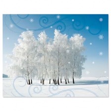 Shop Christmas Note Cards at Colorful Images